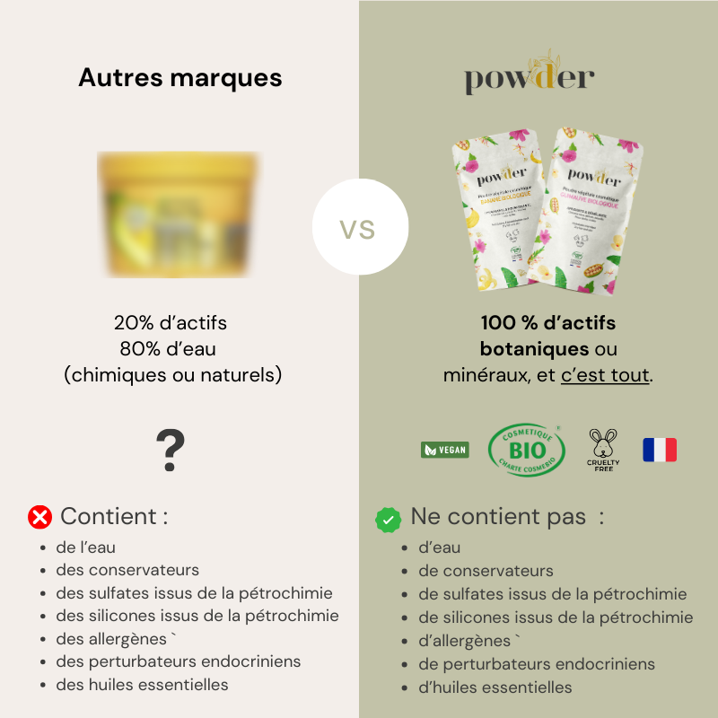 Poudre de Brahmi Bio