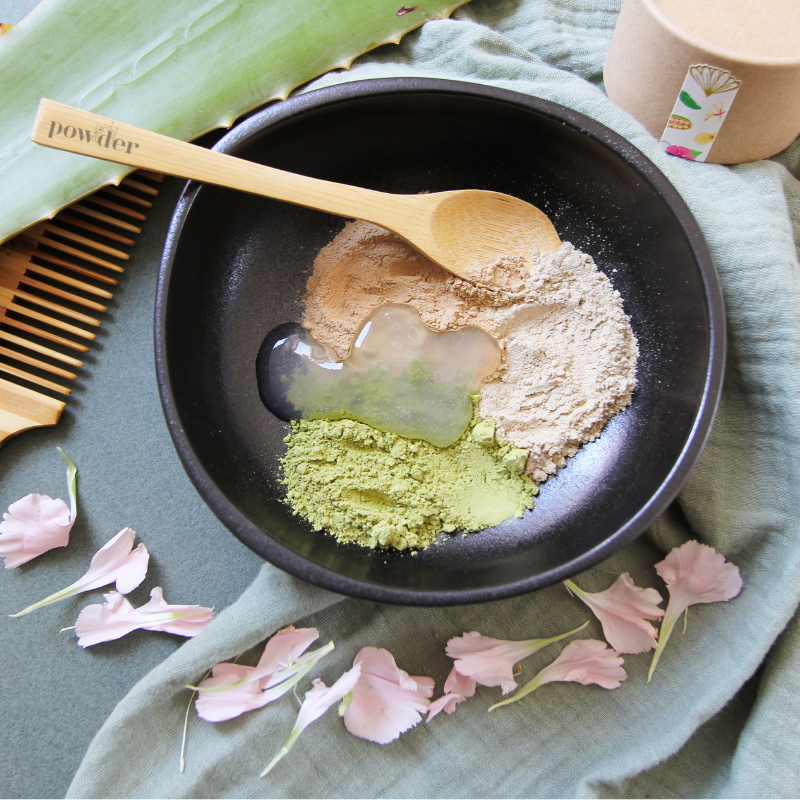 Poudre de Brahmi Bio