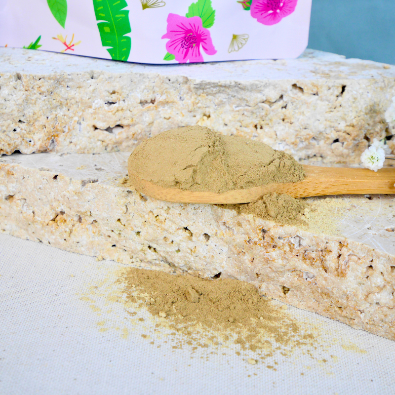 Poudre de Brahmi Bio