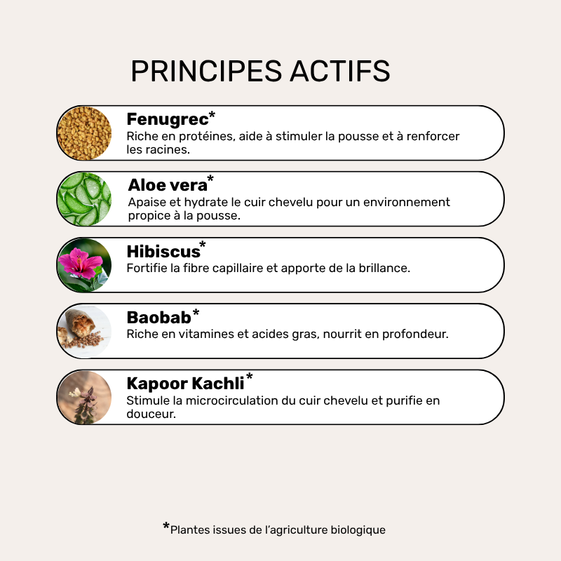 Masque Sublimateur - Recharge Cure Pousse