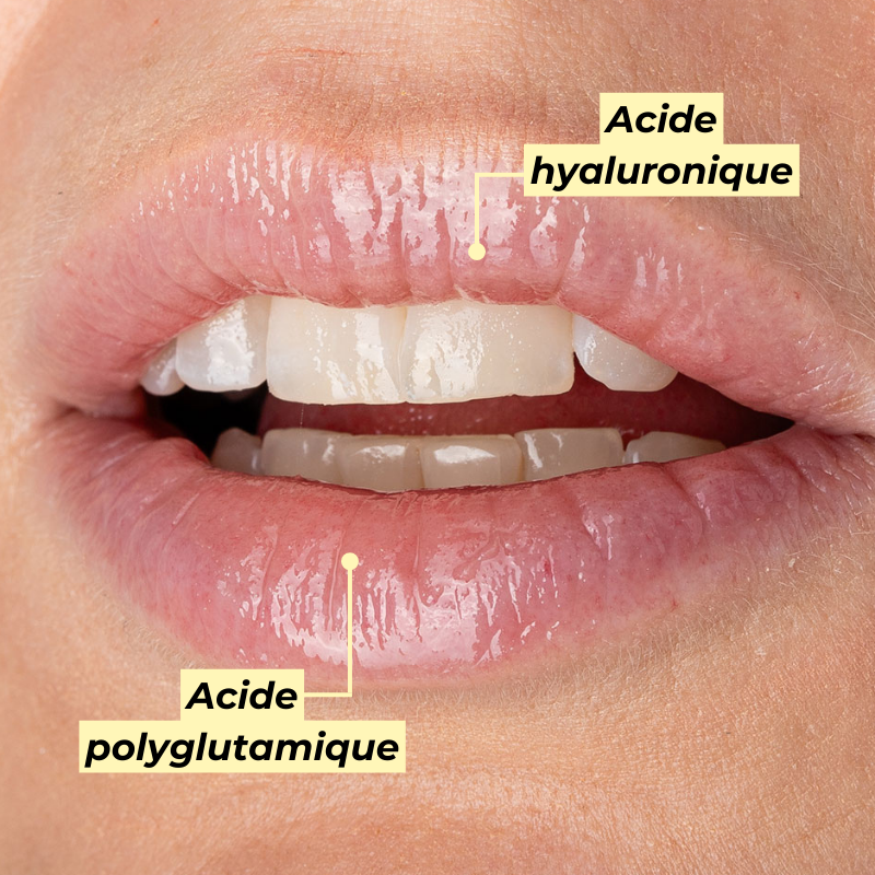 Gloss Hydratant Pomponne - 🎁 OFFERT dès 70€ d'achat